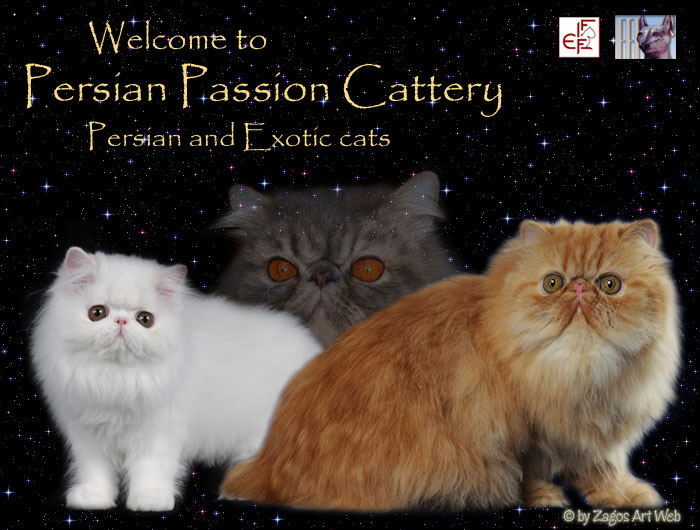 Persian Passion Cattery - Welcome
